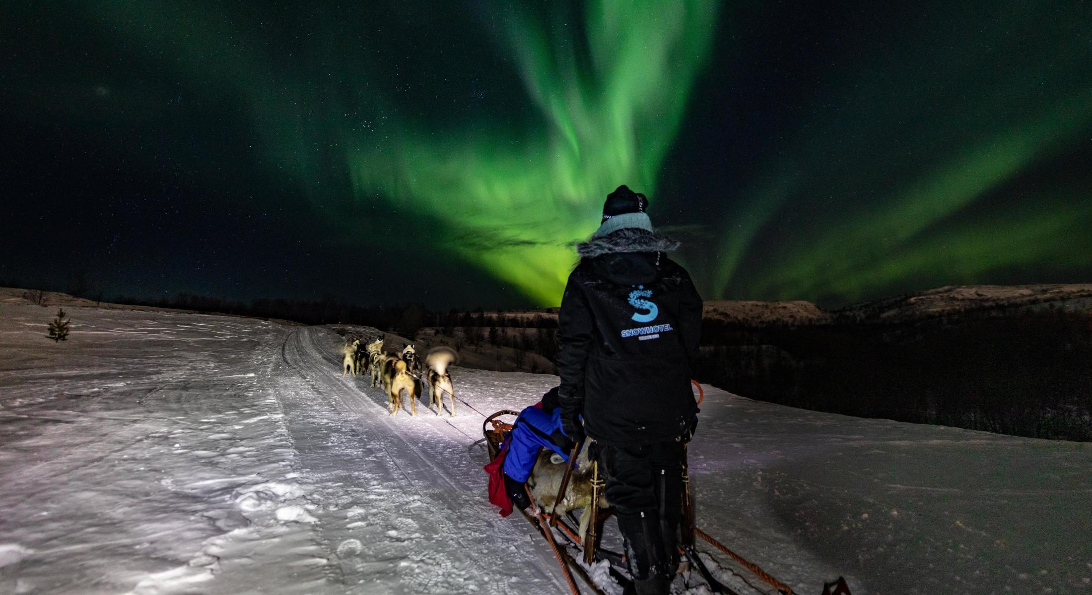 northern lights husky tour