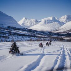 Snowmobiling, Tromsø Ice Domes Snow Park & Reindeer Visit - Excluding Transport