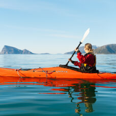 Guided Summer Sea Kayaking at Sommarøy