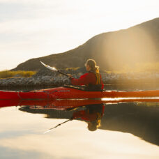 Guided Summer Sea Kayaking Morning Tour at Sommarøy