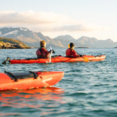 Guided Summer Sea Kayaking Afternoon Tour at Sommarøy - Incl. Transfer from Tromsø