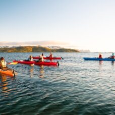 Guided Summer Sea Kayaking Morning Tour at Sommarøy - Incl. Transfer from Tromsø