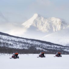 Arctic Combo: Dog Sledding, Snowmobiling & Reindeer Visit at Camp Tamok