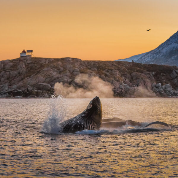 block.customBlockTitle