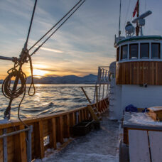 Fjord & History Cruise with Hermes II