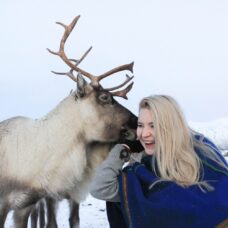 Short Reindeer Sledding, Feeding and Sami Culture
