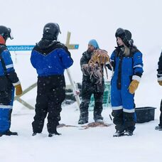 King Crab Safari (Winter)