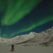 Evening Snowshoe Hike and Basecamp Experience - Incl. Transfer from Tromsø