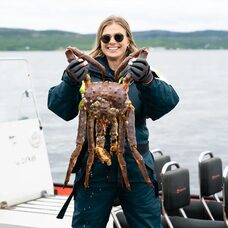 King Crab Safari by RIB (Summer)