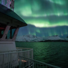 The Bucketlist Cruise: 24hrs Northern Lights & Whale Watching