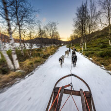 Winter Early Bird Package