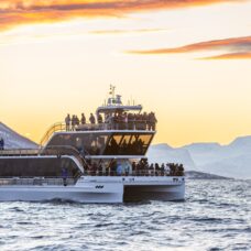 Silent Whale Watching with Brim Explorer