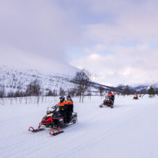 Snowmobiling, Tromsø Ice Domes Snow Park & Reindeer Visit - Including Transport
