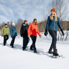Daytime Snowshoe Hiking Experience - Incl. Transfer from Tromsø