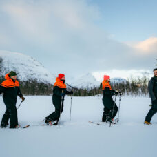 Snowshoeing, Tromsø Ice Domes Snow Park & Reindeer Visit - Including Transport